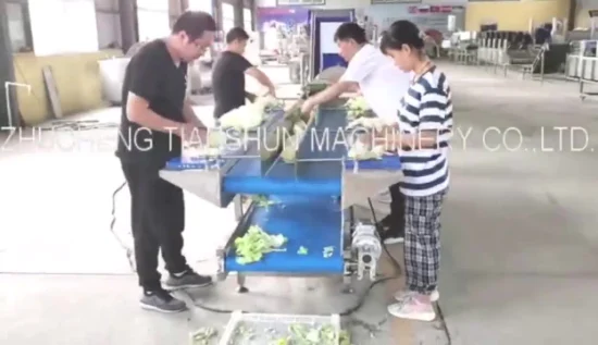 Salad Vegetable Cutting Slicer Drying Cleaning Bubble Washer Vortex Washing Processing Line Machine