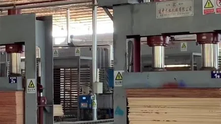 500t Plywood Cold Press Machine with Chain Loading Unloading